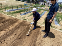 平ぐわ