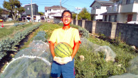 WIN_20250730_08_01_44_Pro