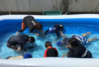 水遊び（潜りっこ）