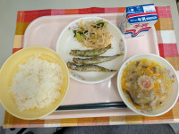 メディア (29)