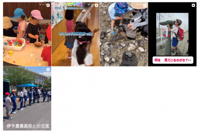 スクリーンショット_16-7-2026_94440_www.instagram.com