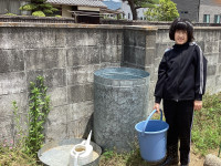 あんな