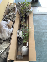 画像 -20251205-015033-e93d523e