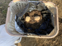 画像 -20260219-000030-4d788dd9